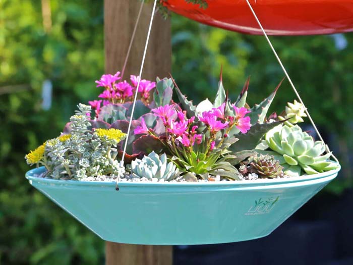Saucer Style Succulent Hanging Planter #diy #planter #flower #hanging #garden #decorhomeideas