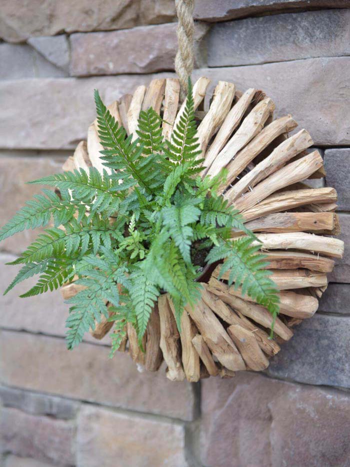 Striking Circular Wooden Fern Planter #diy #planter #flower #hanging #garden #decorhomeideas