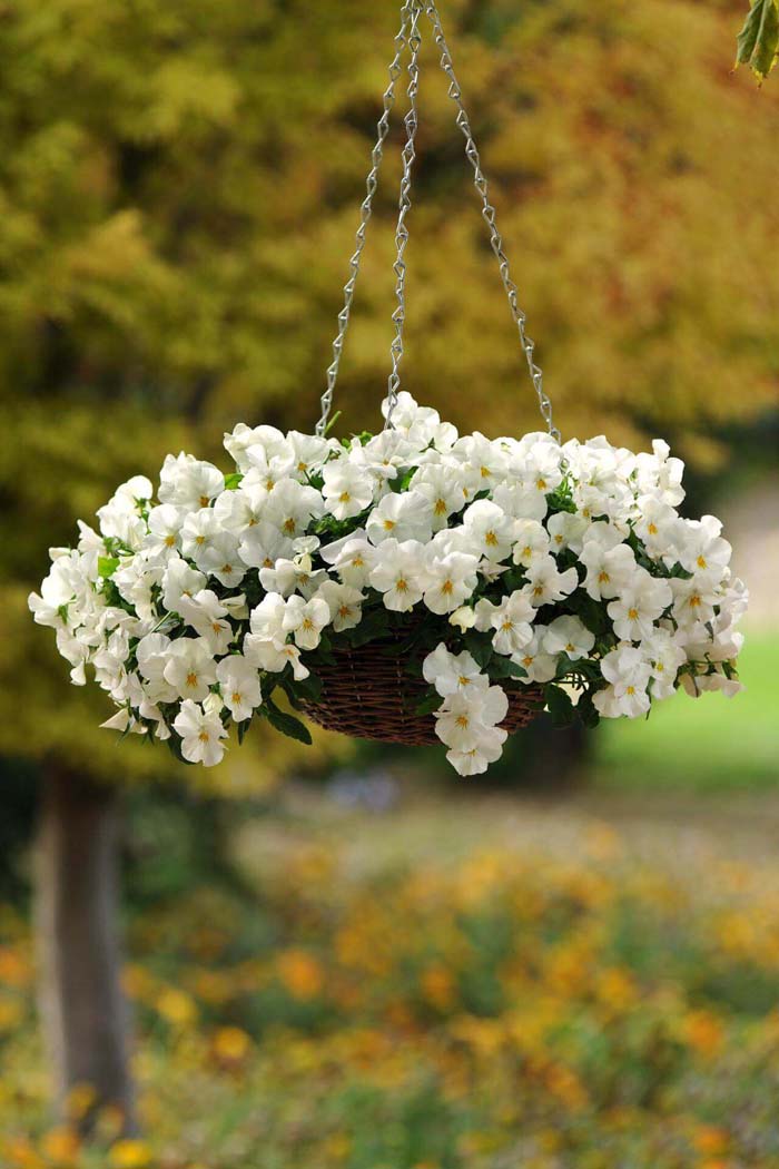 Sweetly Simple Woven Flower Basket #diy #planter #flower #hanging #garden #decorhomeideas