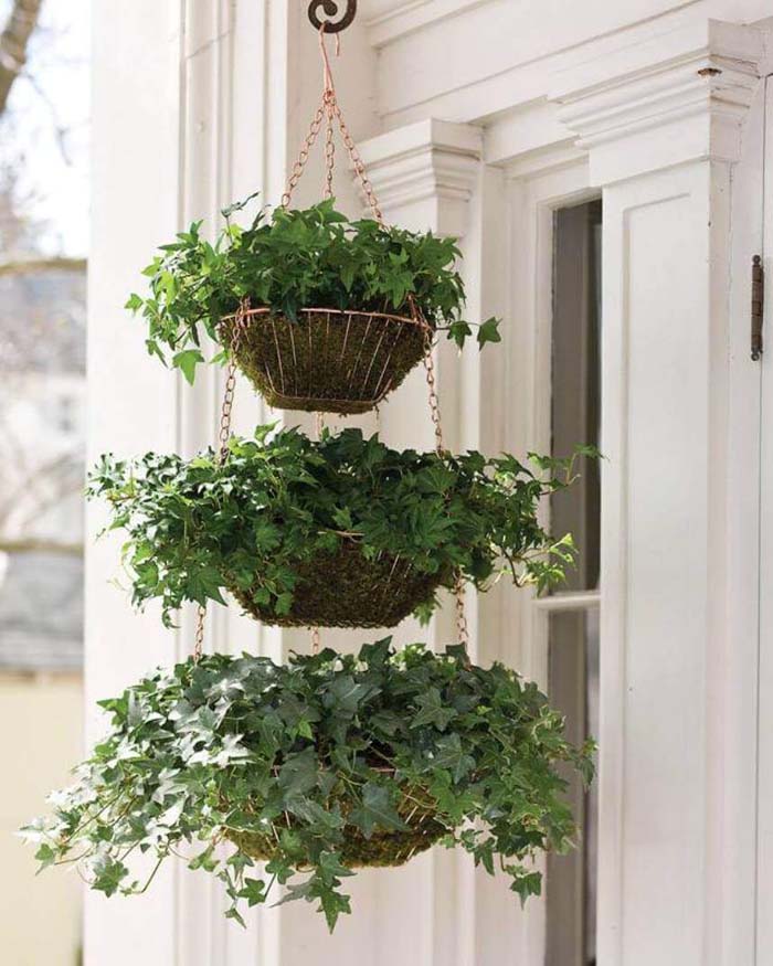 Three Tiered Hanging Ivy Baskets #diy #planter #flower #hanging #garden #decorhomeideas