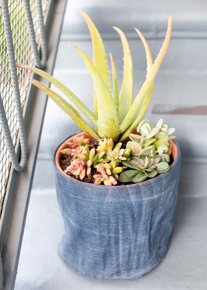 Your Plants’ Favorite Pair of Jeans #diy #flowerpot #garden #flower #decorhomeideas