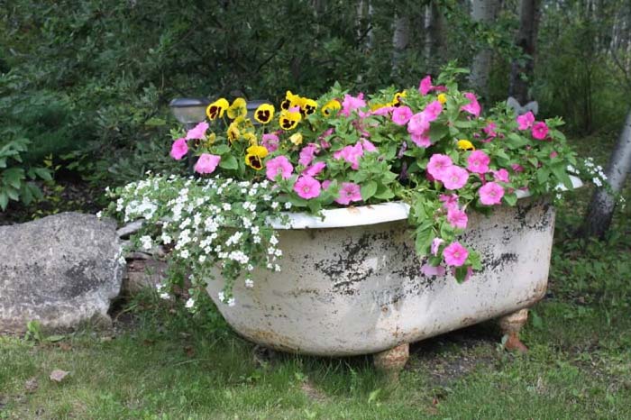 Antique Bathtub as Garden Décor #garden #container #planter #decorhomeideas