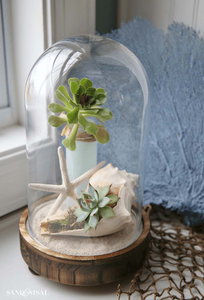 Coastal Cloche Decor #coastal #beach #decor #decorhomeideas