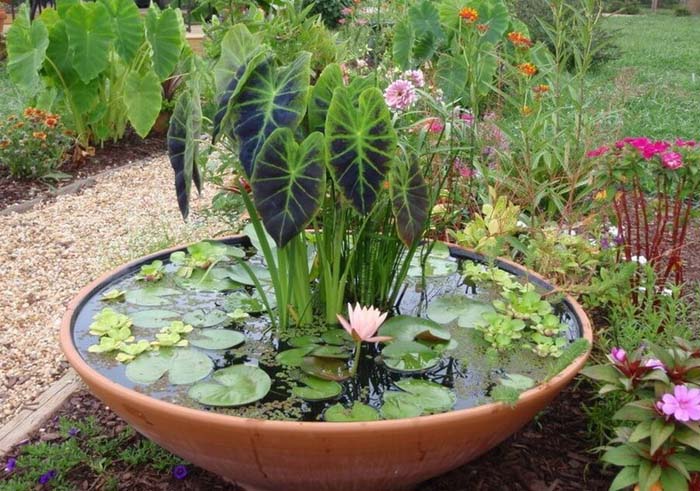 DIY Clay Pot Garden Pond #garden #container #planter #decorhomeideas