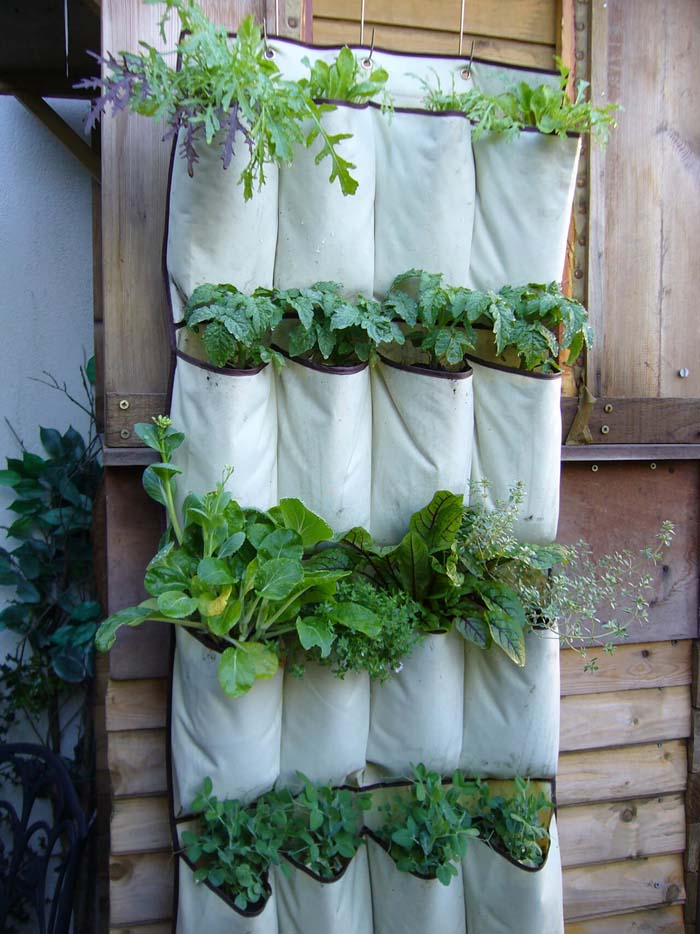 DIY Shoe Organizer Herb Garden #garden #container #planter #decorhomeideas
