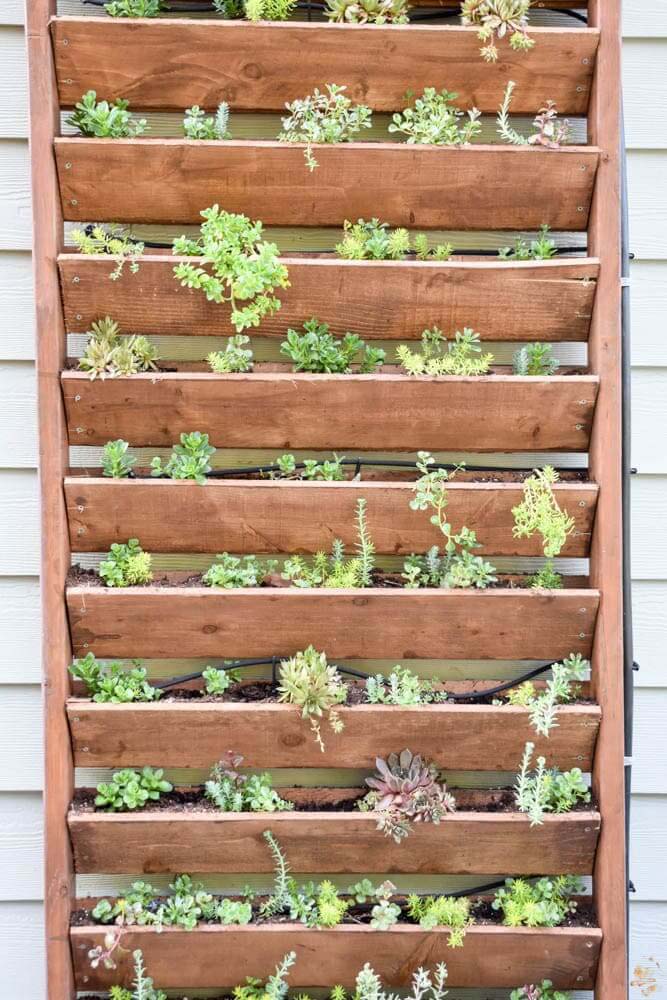 DIY Vertical Garden #diy #patio #decorations #decorhomeideas