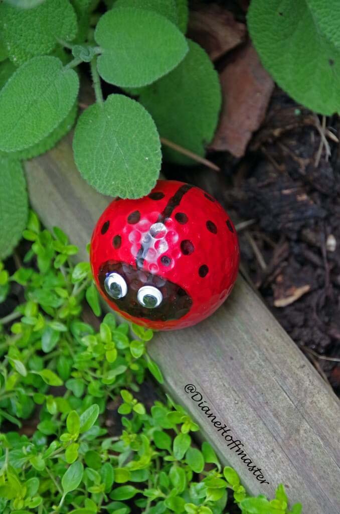 Googly-eyed Golf Ball Ladybug #garden #upcycled #diy #decorhomeideas