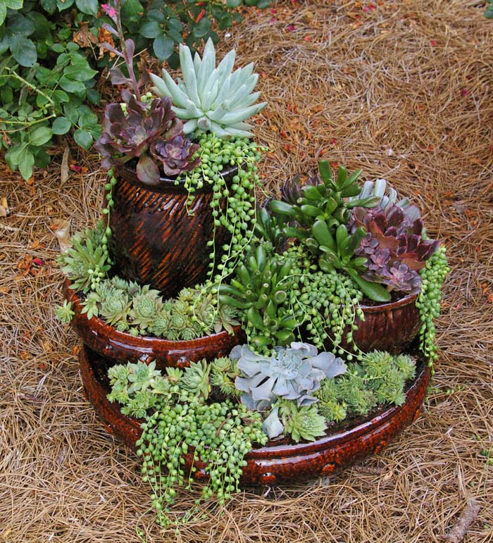 Mini Succulent Tower #diy #flowertower #garden #decorhomeideas