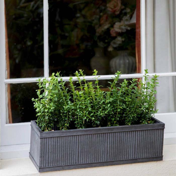 Ridged Metal Window Box With Greenery #planter #box #window #decorhomeideas