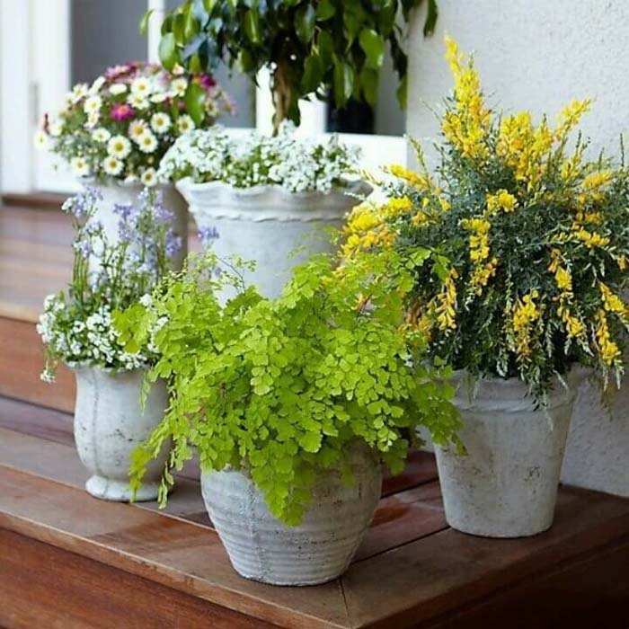 Scalloped Planters #diy #planter #porch #decorhomeideas