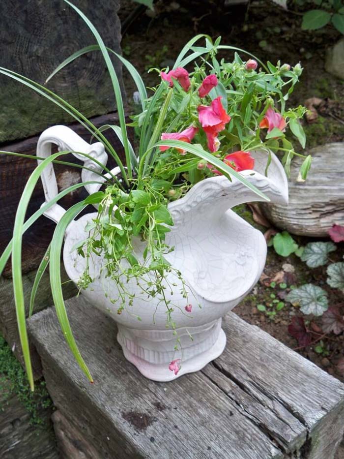 Shabby Chic Antique Pitcher Planter #garden #container #planter #decorhomeideas