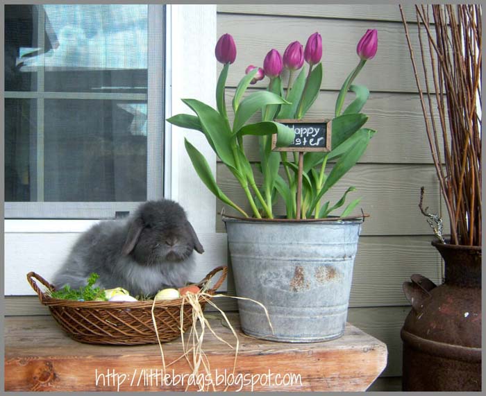 Tulips in an Old Pail #diy #planter #porch #decorhomeideas