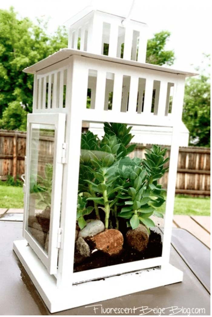 White Lantern Planter with Succulents #diy #planter #porch #decorhomeideas