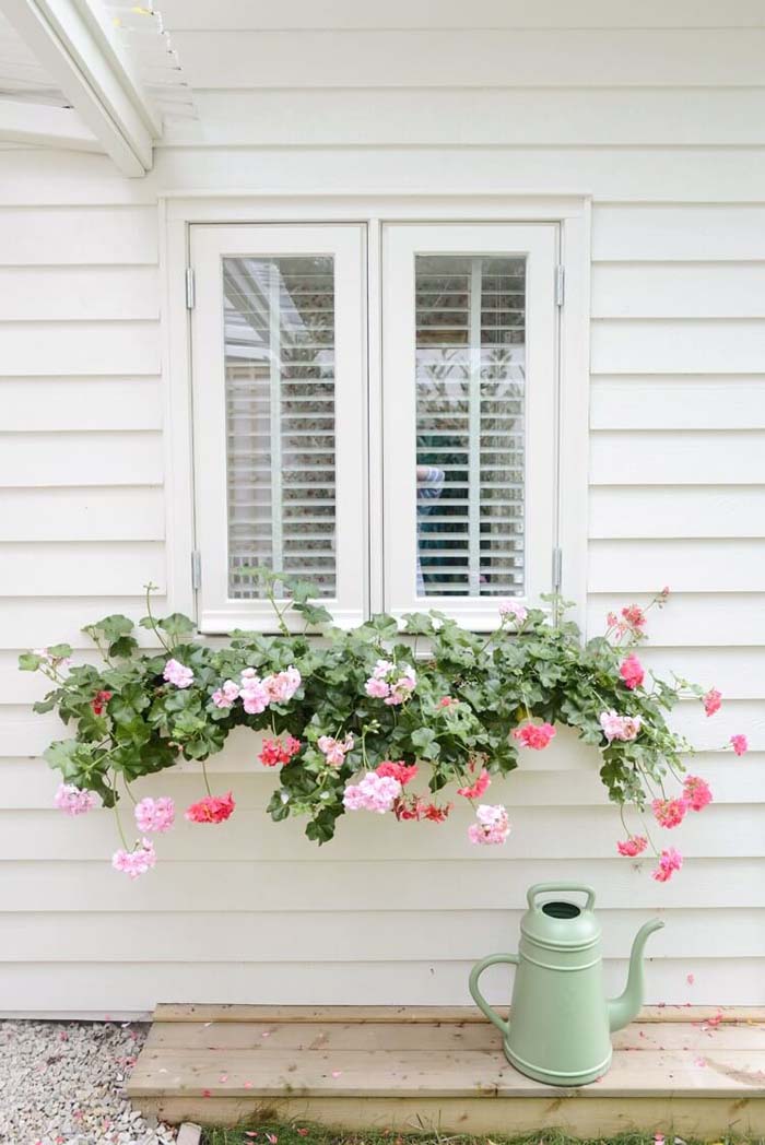 White Window Box With Cascading Flowers #planter #box #window #decorhomeideas