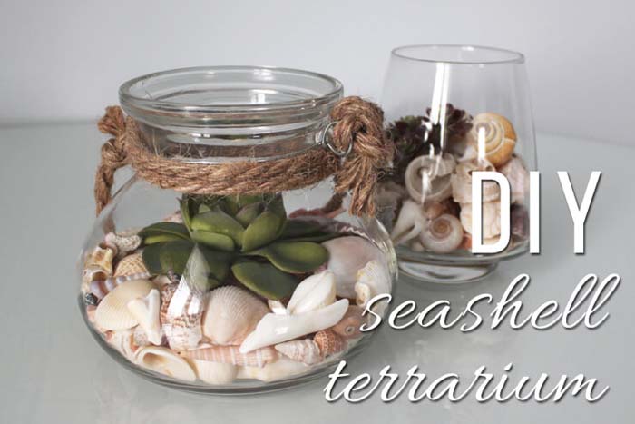 DIY Seashell Terrarium #diy #seashell #decor #decorhomeideas