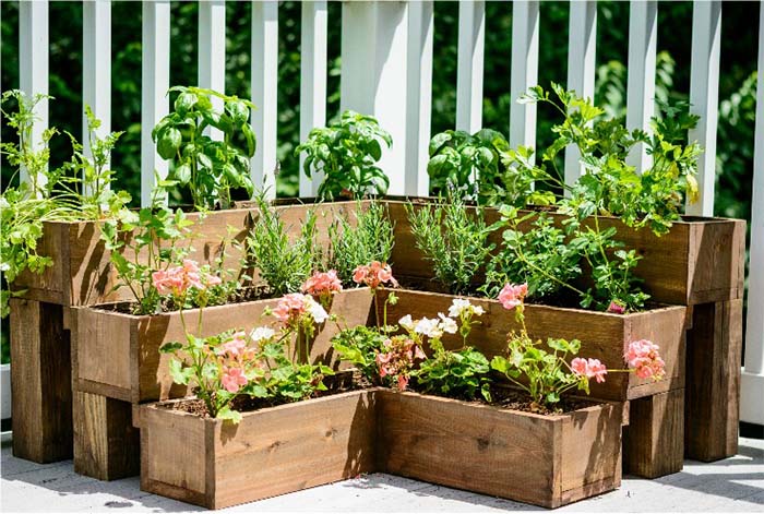 DIY Tiered Herb Garden Tutorial