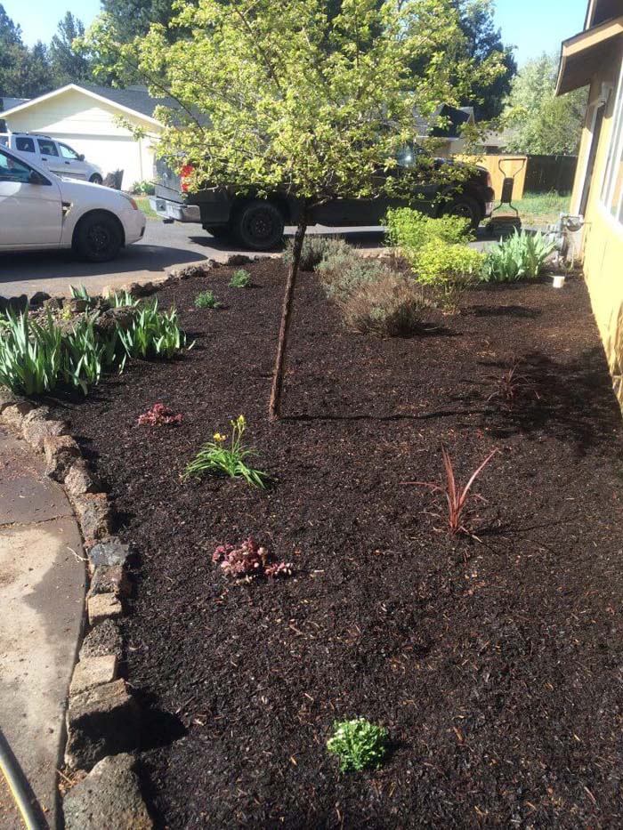 Flower Bed Transformation With Mulch #garden #makeover #diy #decorhomeideas