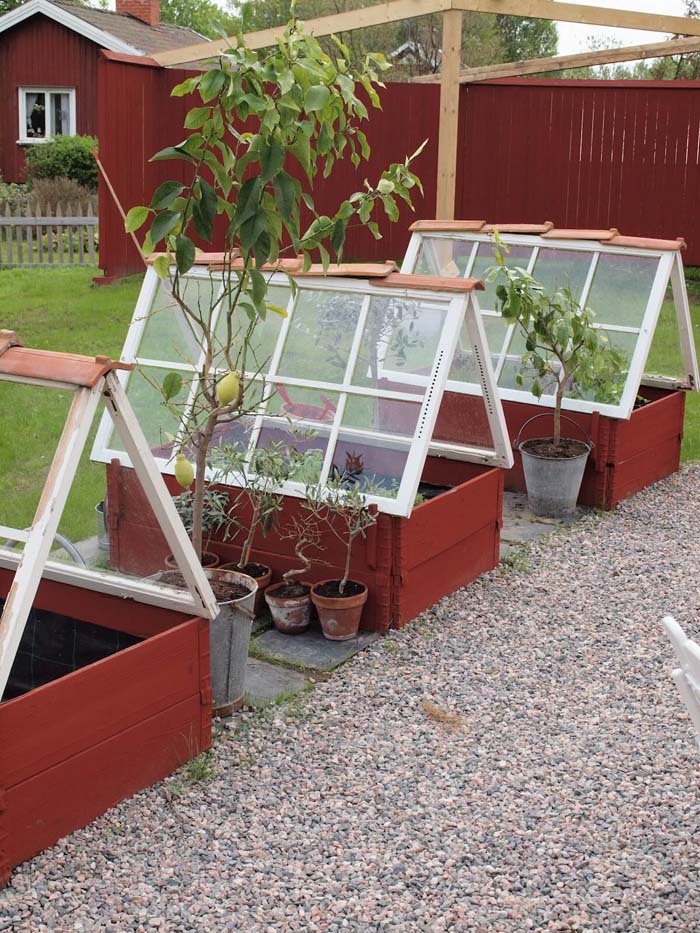 Make Cold Frames with Old Windows #old #window #garden #decorhomeideas