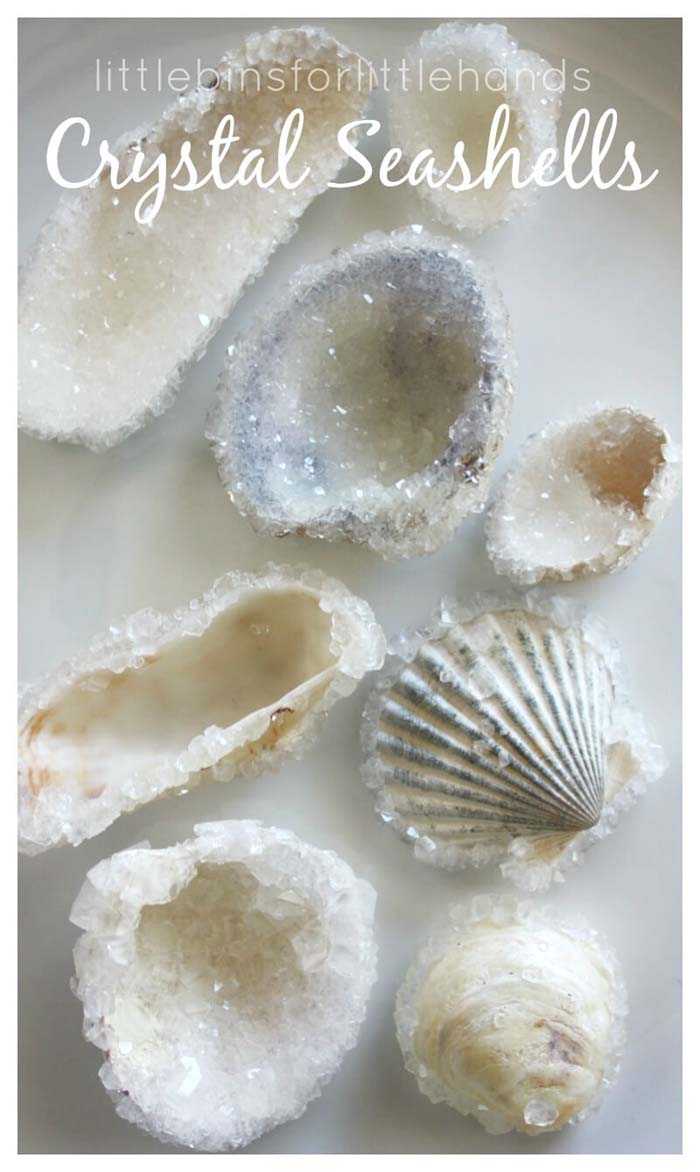 Make Crystal Seashells With Borax #diy #seashell #decor #decorhomeideas