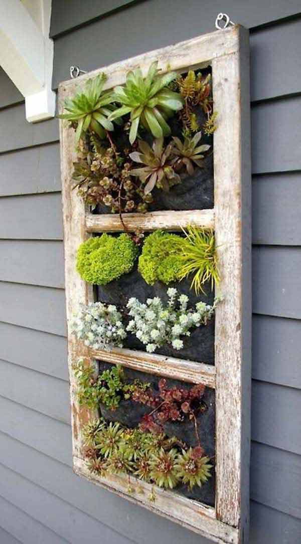 Old Window Into Succulent Garden #old #window #garden #decorhomeideas