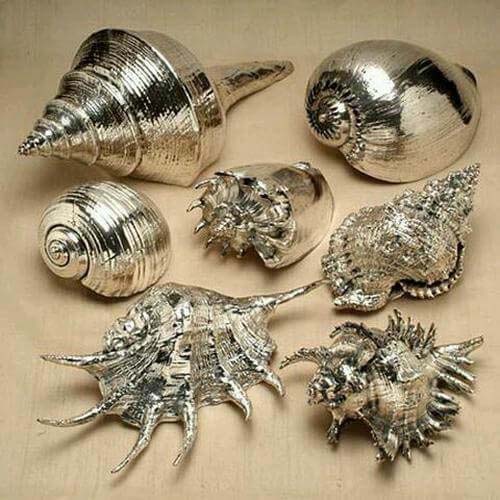 Silver Coated Seashells #diy #seashell #decor #decorhomeideas