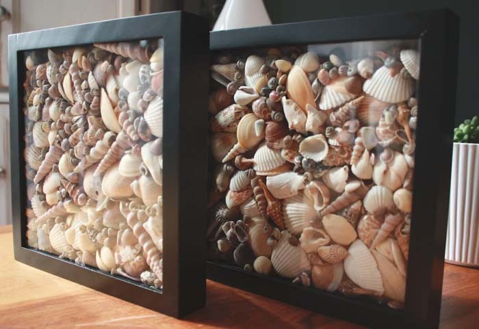 Simple Seashell Shadow Boxes #diy #seashell #decor #decorhomeideas