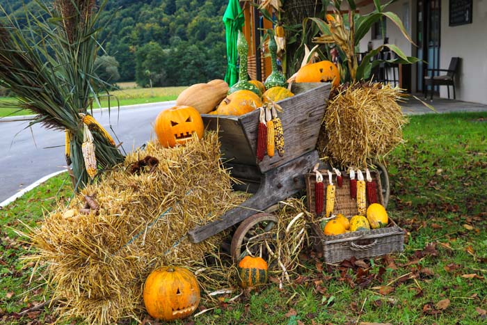 Adorable Carved Pumpkins in a Wheelbarrow #fall #garden #decoration #decorhomeideas