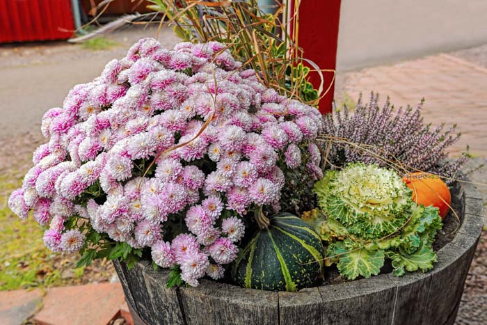 A Basin Full of Flowers #fall #garden #decoration #decorhomeideas