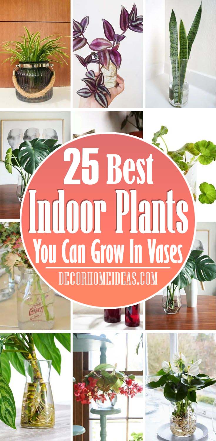 Best Indoor Plants Grow In Vases. No matter if you have cuttings of charming flowers or propagating plants, you can use a vase for both! They are beautiful and easy to grow! #decorhomeideas