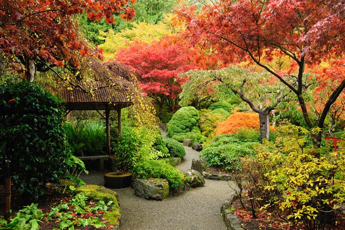 Butchart Gardens in Victoria British Columbia #fall #garden #decoration #decorhomeideas