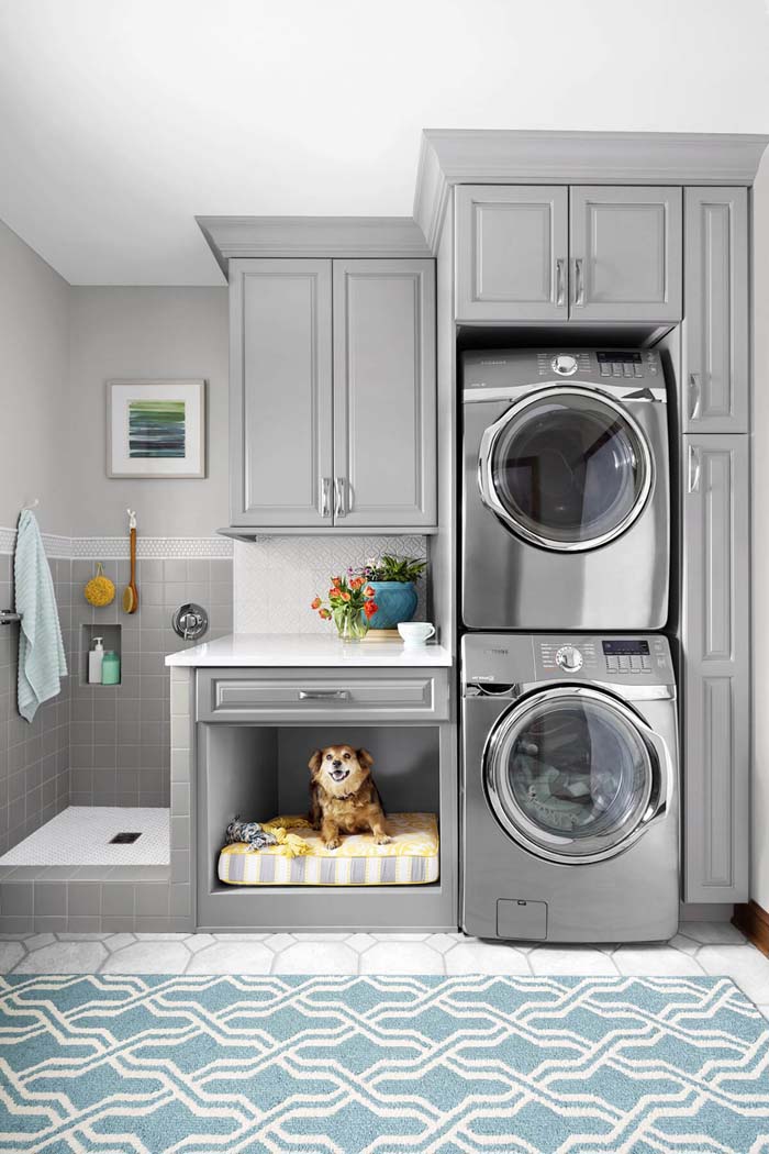 Clothes and Pet Cleaning Laundry Room #laundryroom #small  #design #decorhomeideas