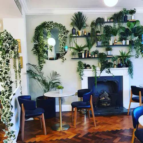 Deep Green Plants with Royal Blue Accents #houseplant #wall #decor #decorhomeideas