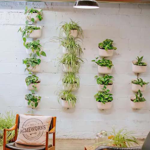 Descending Plant Columns #houseplant #wall #decor #decorhomeideas