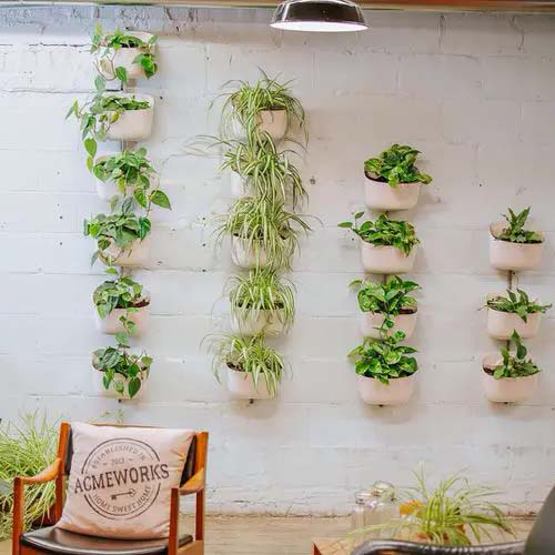 20 Modern Wall Decor Ideas With Plants And Greenery Home - Small Plants Home Decor Ideas