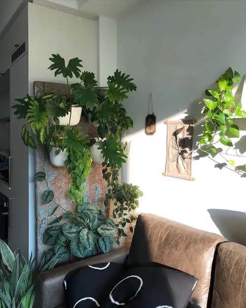 20 Modern Wall Decor Ideas With Plants And Greenery Home - Wall Plants Decor Ideas