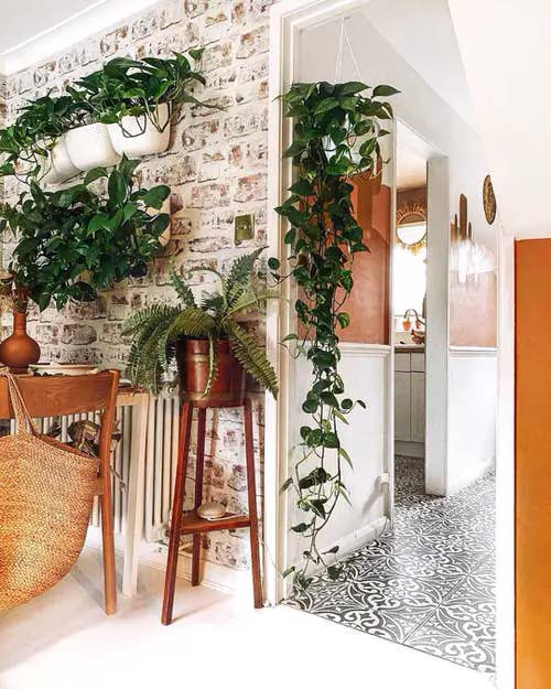 Elegant Parallel Plant Rows #houseplant #wall #decor #decorhomeideas