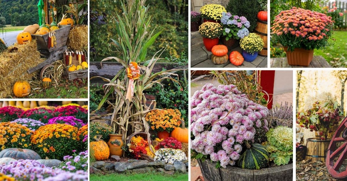 Fall Gardening Ideas And Decorations