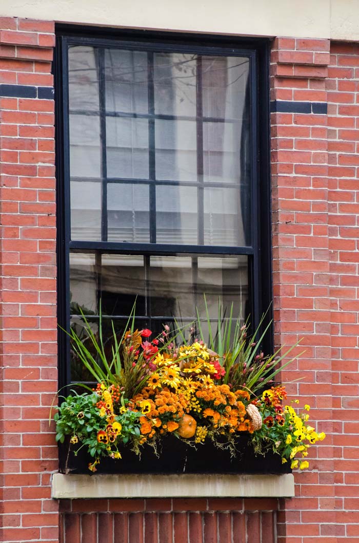 Fresh Fall Window Planter #fall #garden #decoration #decorhomeideas