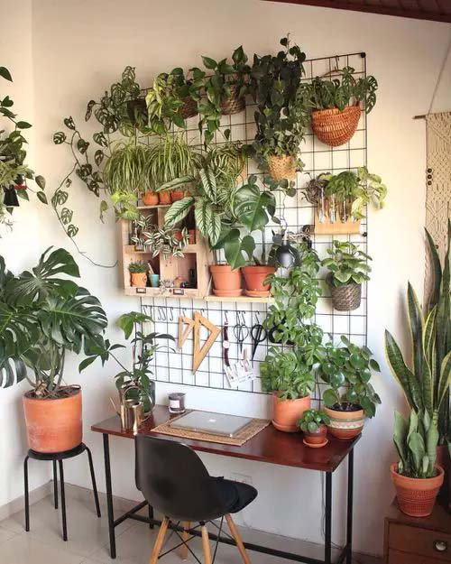 Green Office Wall #houseplant #wall #decor #decorhomeideas