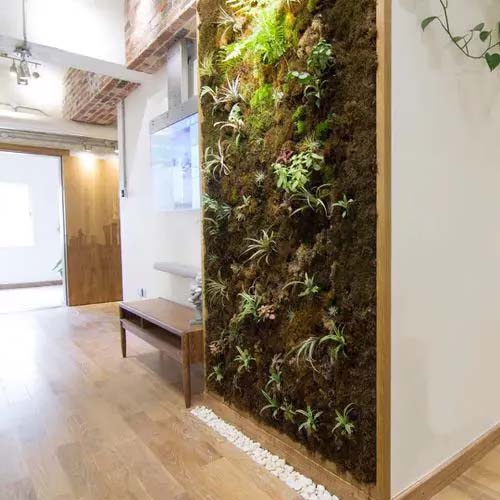 Moss and Plant Feature Wall #houseplant #wall #decor #decorhomeideas