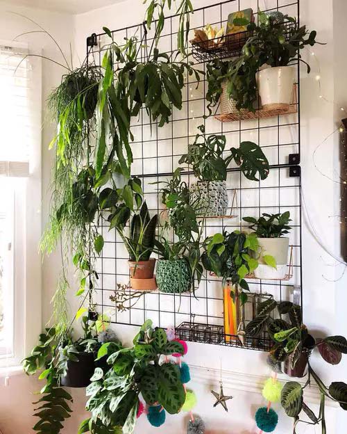 Oversized Plant Grid #houseplant #wall #decor #decorhomeideas