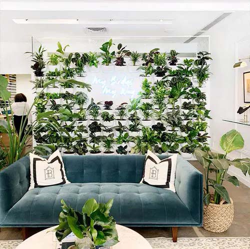 Plants + Neon = Glam #houseplant #wall #decor #decorhomeideas