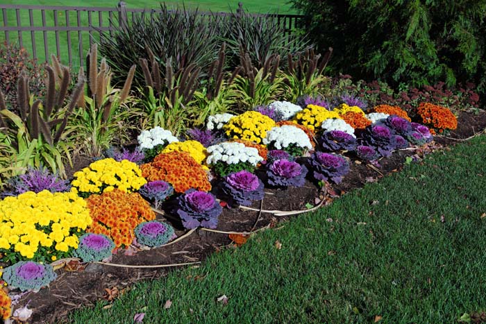 Quilted Garden of Colors #fall #garden #decoration #decorhomeideas