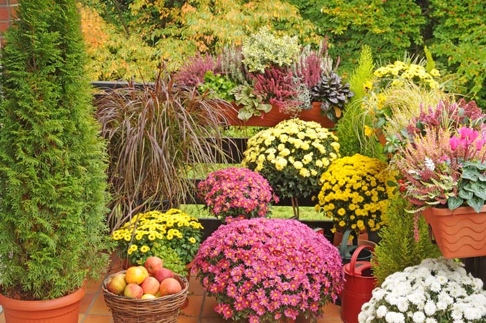 Vertical Garden for the Fall #fall #garden #decoration #decorhomeideas