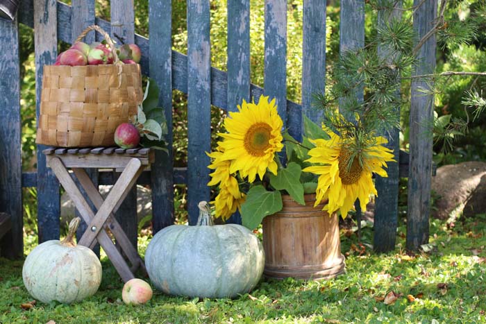 Vignette of Fall Flowers and Fruits #fall #garden #decoration #decorhomeideas