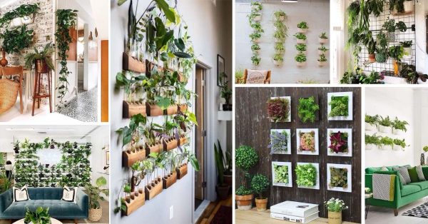 20 Modern Wall Decor Ideas With Plants And Greenery Home - Small Plants Home Decor Ideas