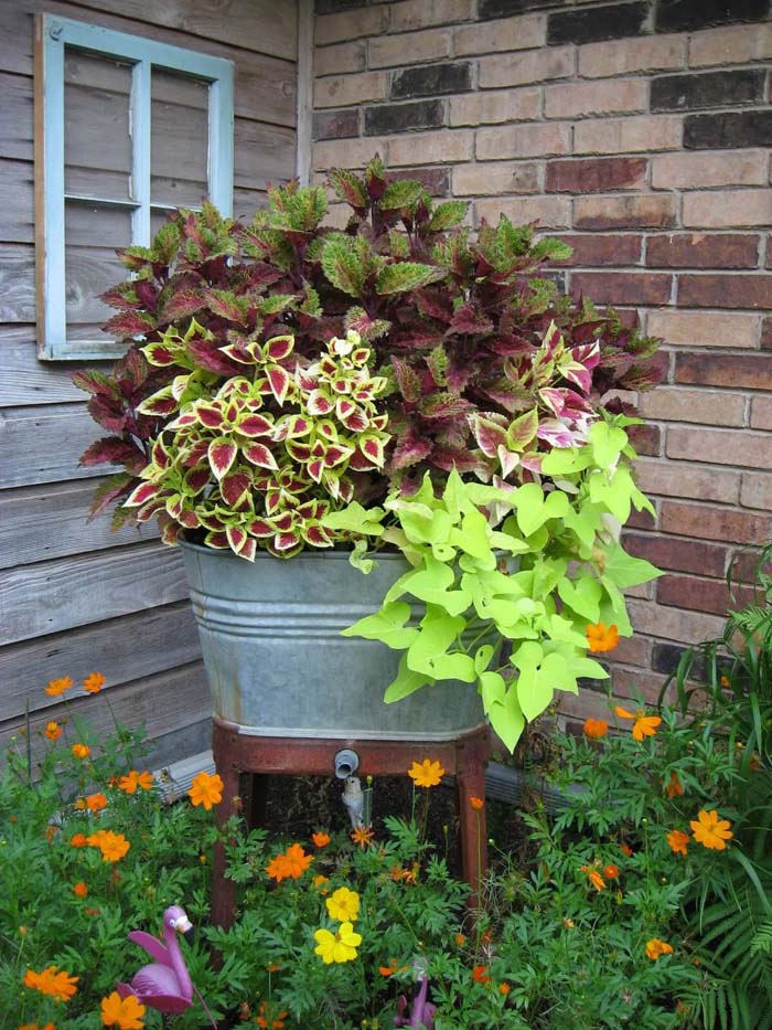 Wash Tub Planter Filled with Plants #galvanized #tub #bucket #decorhomeideas
