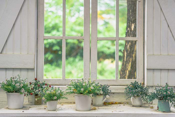 Autumn Flowers Pot Windowsill Decorated With Flowers