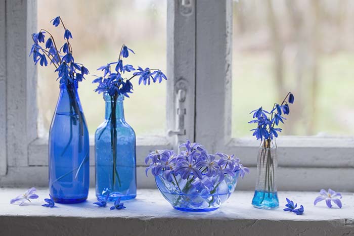 Blue Snowdrops Old Windowsill