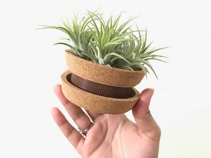 Coasters + Jar Lid Planter #planter #olditems #kitchen #decorhomeideas